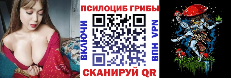 omg ТОР  купить наркотики цена  Чердынь  Псилоцибиновые грибы Psilocybine cubensis 